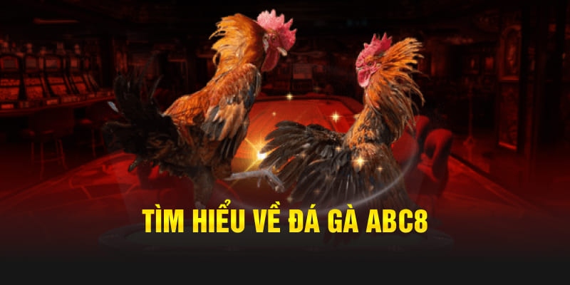 Khái quát vài nét về đá gà abc8